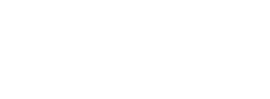 Detroit Metro Airport Secondary Logo