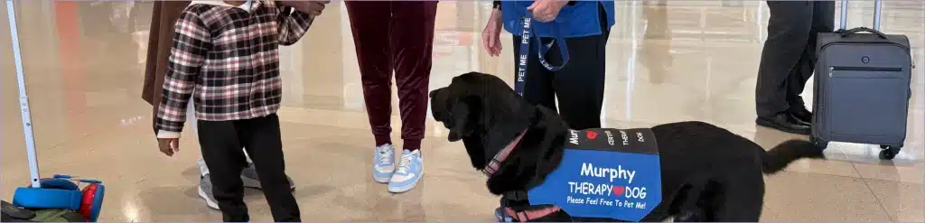 Pet Therapy Program
