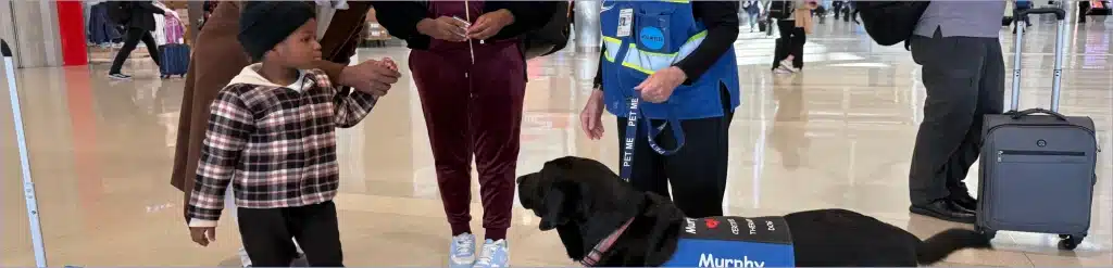 Traveling with Pets